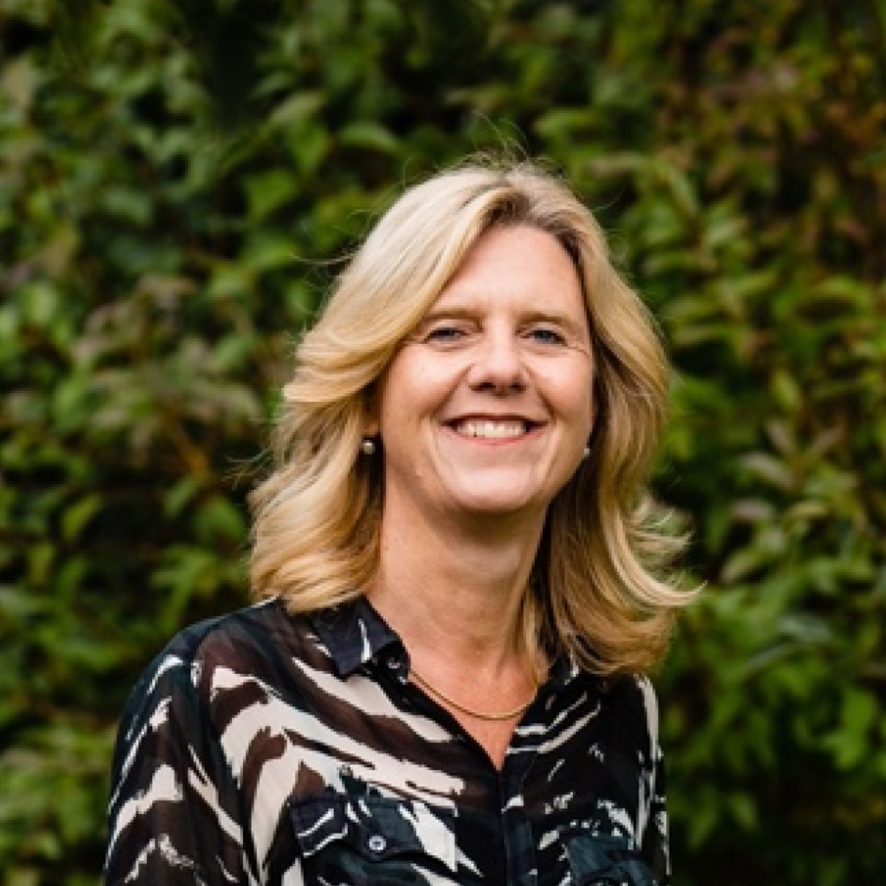 Update header Prisma GP Simone Breed2